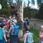 phoca_thumb_m_vp- 1.den  52 Fotogalerie